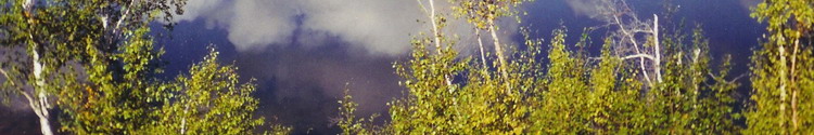 Banner - Sound of the North